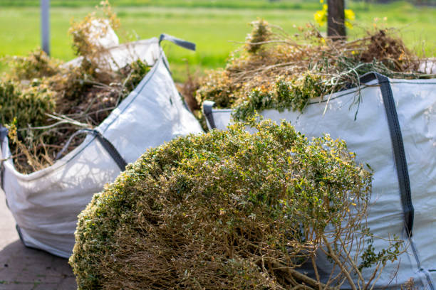 Same-Day Junk Removal Services in Ellicott, CO
